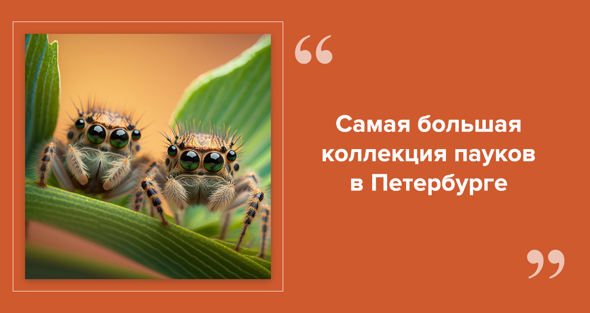 выставка Мир в паутине
