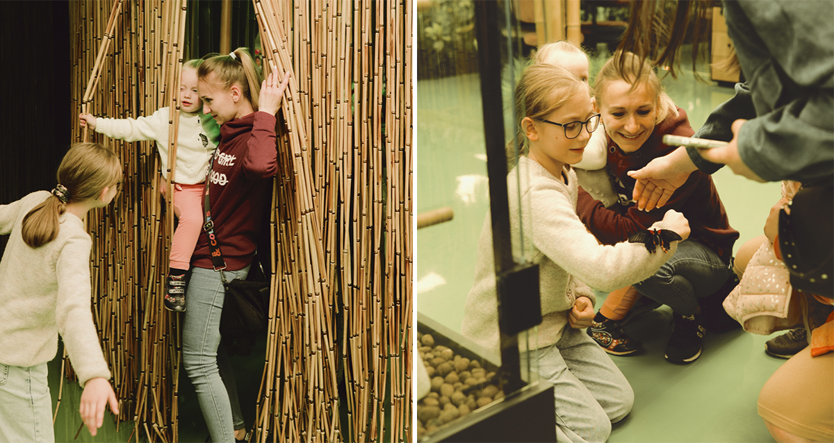 Парк Бабочек