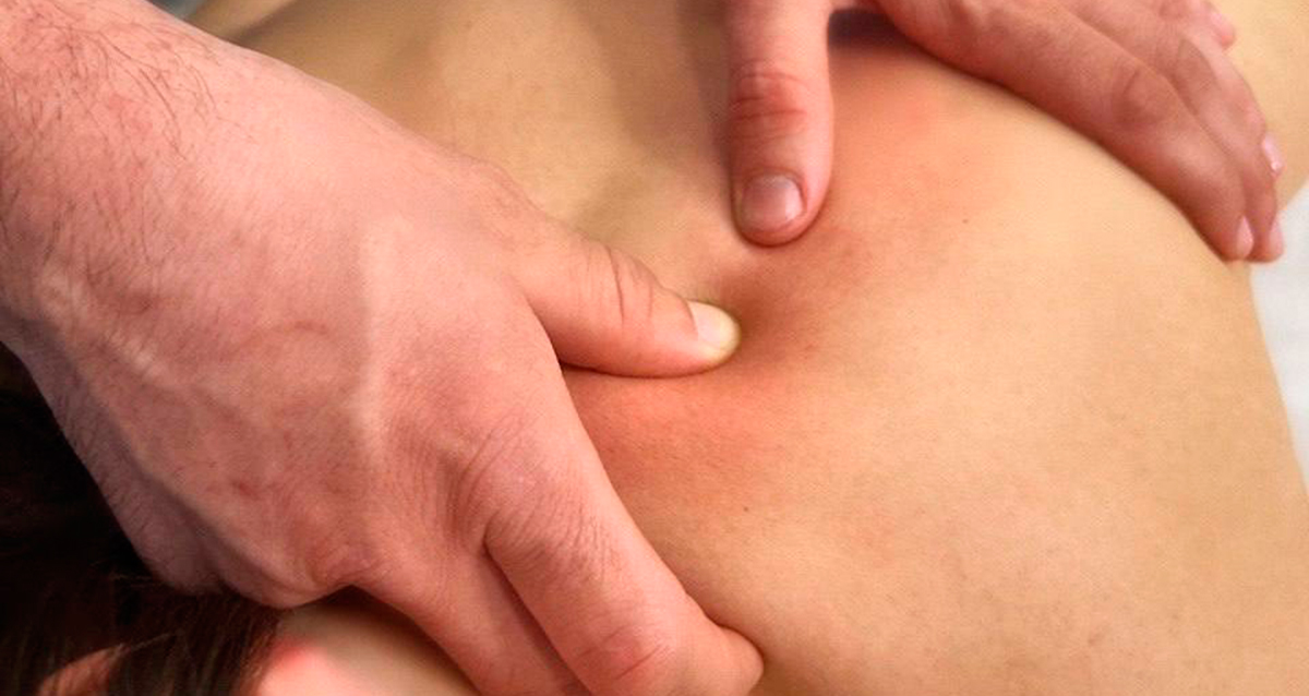 студия EVOLUTION