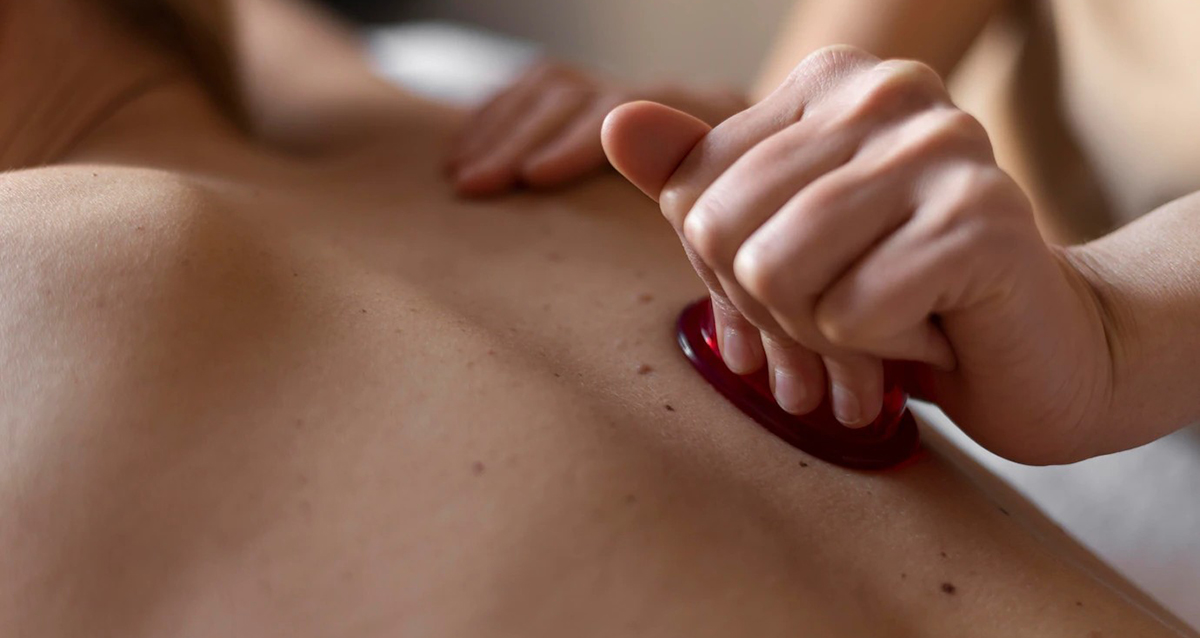 студия EVOLUTION