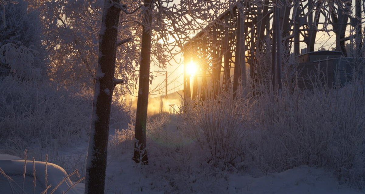 комплексе активного отдыха Угребись