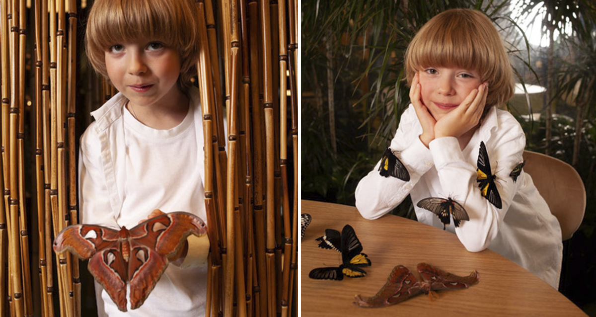 Парк Бабочек