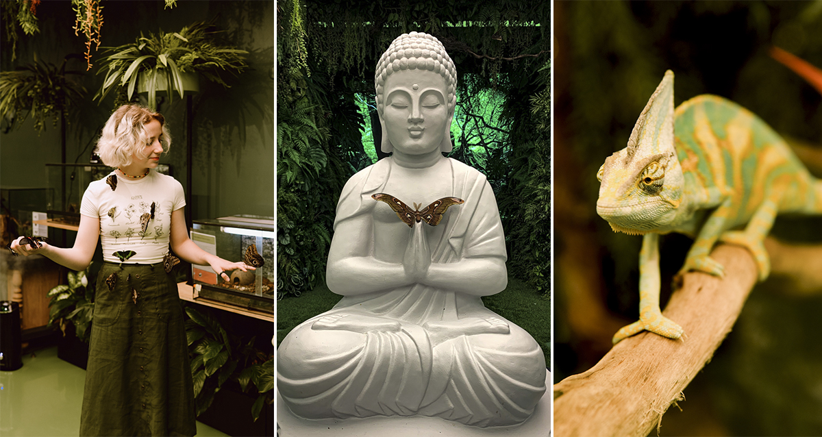 Парк Бабочек