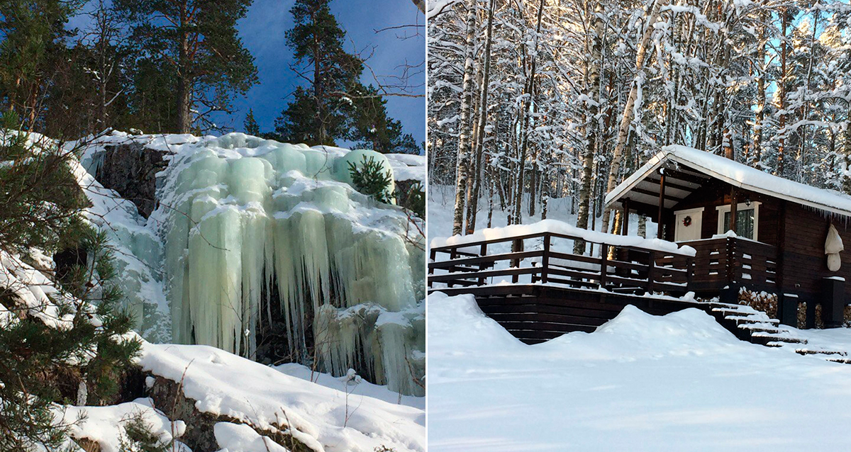 База отдыха Хутор Салокюля