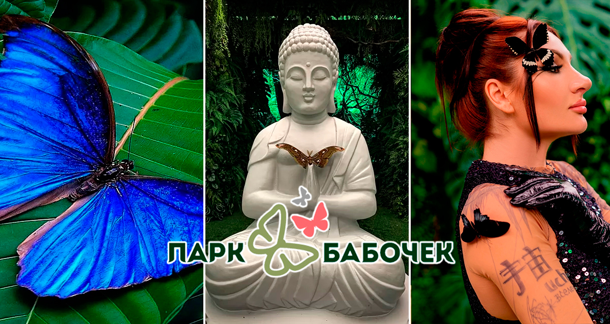 Парк Бабочек
