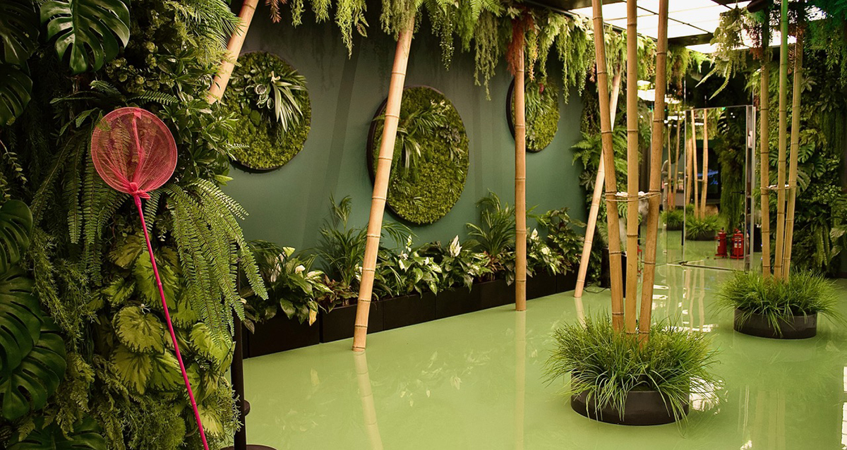 Парк Бабочек