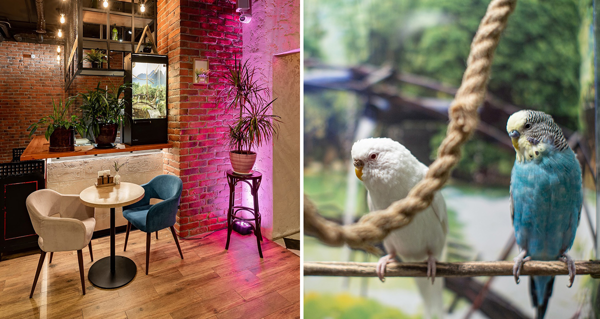 Семейный ресторан Asia Лапша на Грибалевой