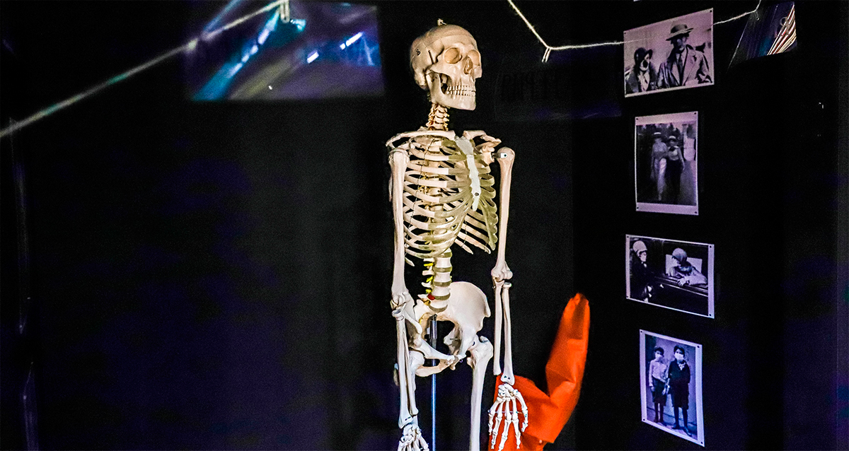 Сеть музеев Art attractions