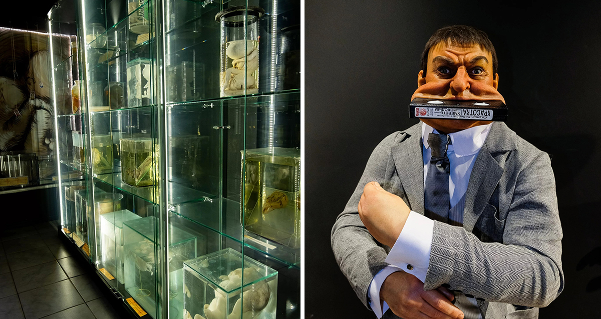 Сеть музеев Art attractions