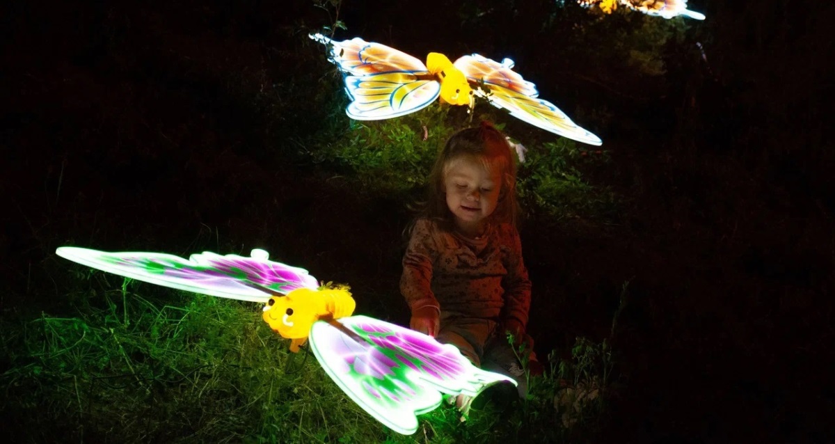 фестиваль DreamFest
