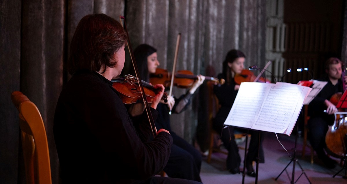 концерты во Владимирском дворце