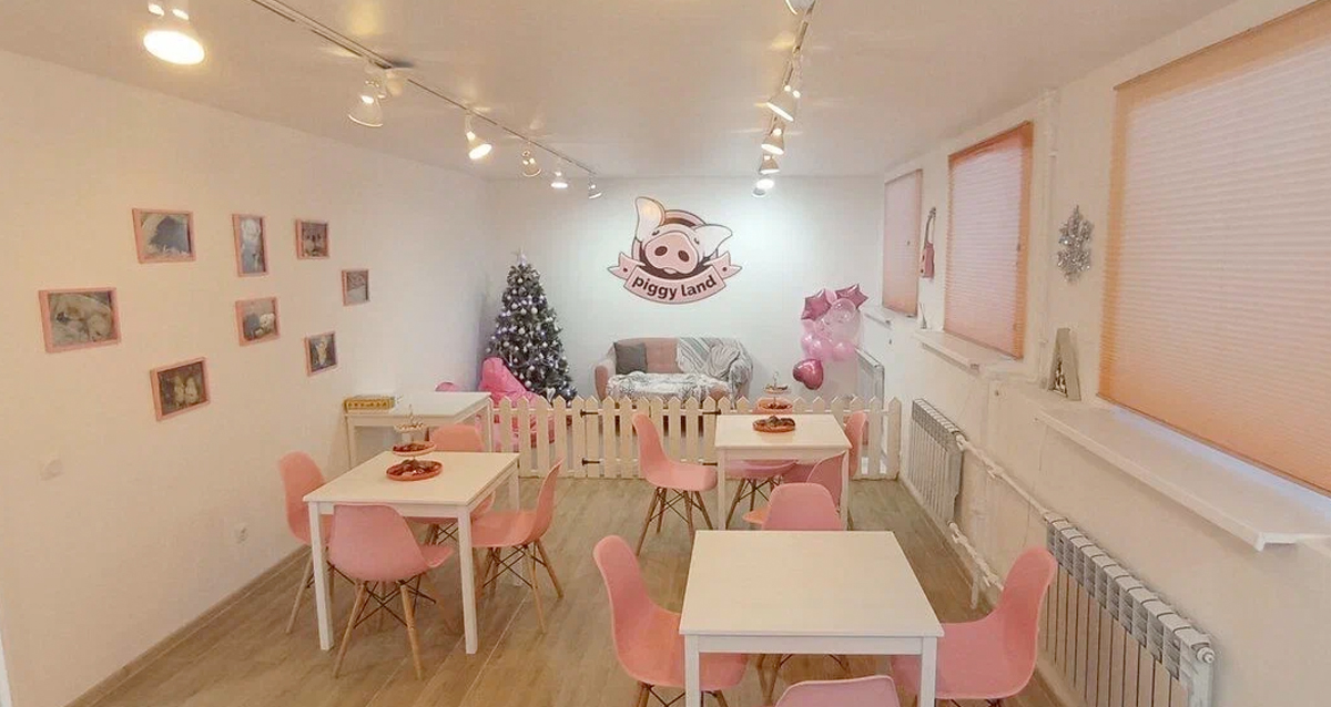 антикафе с минипигами Piggy land