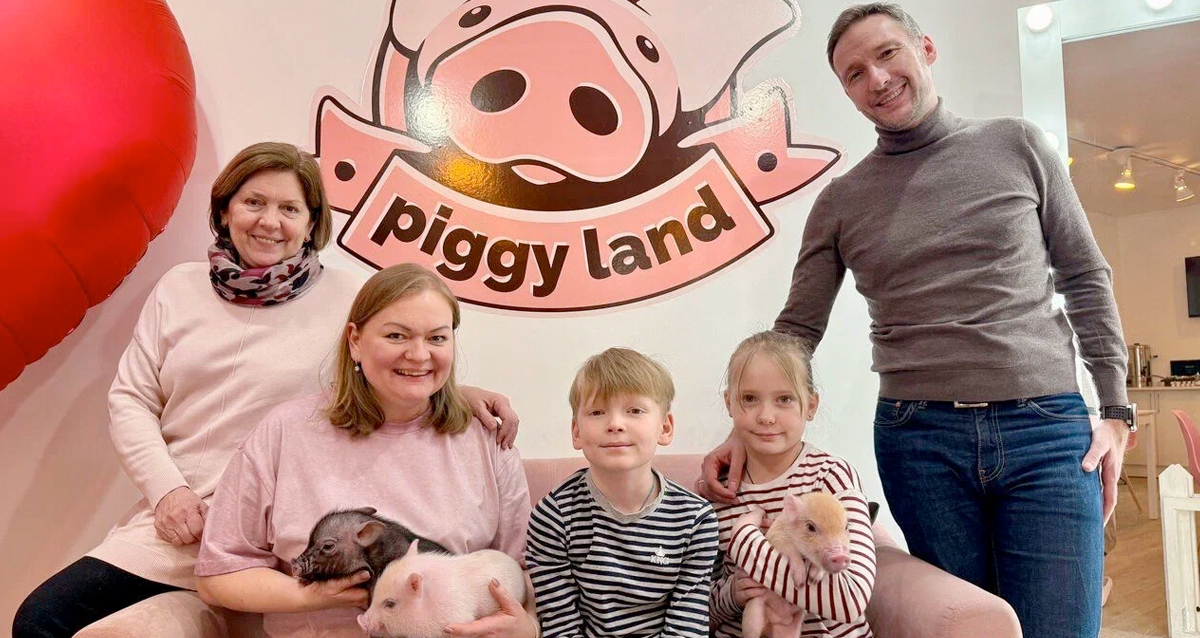 антикафе с минипигами Piggy land