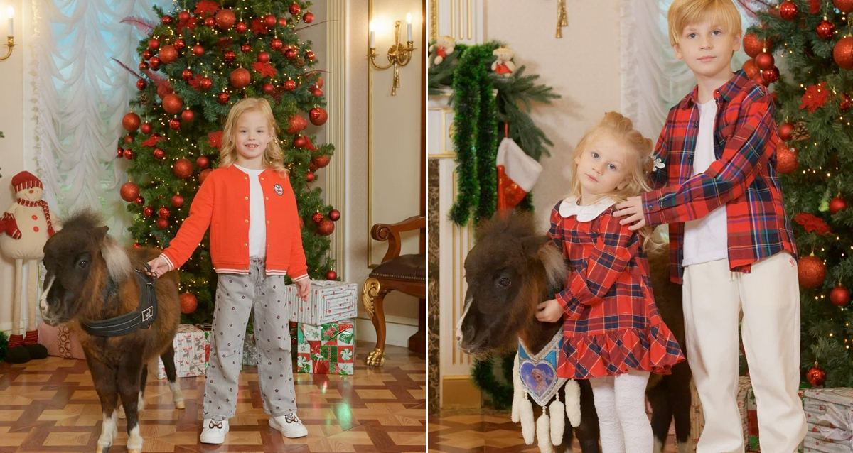 фотосессия с мини хаски