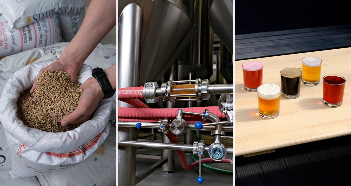 Пивоварня PARADOX