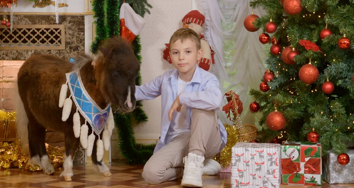 фотосессия с мини хаски