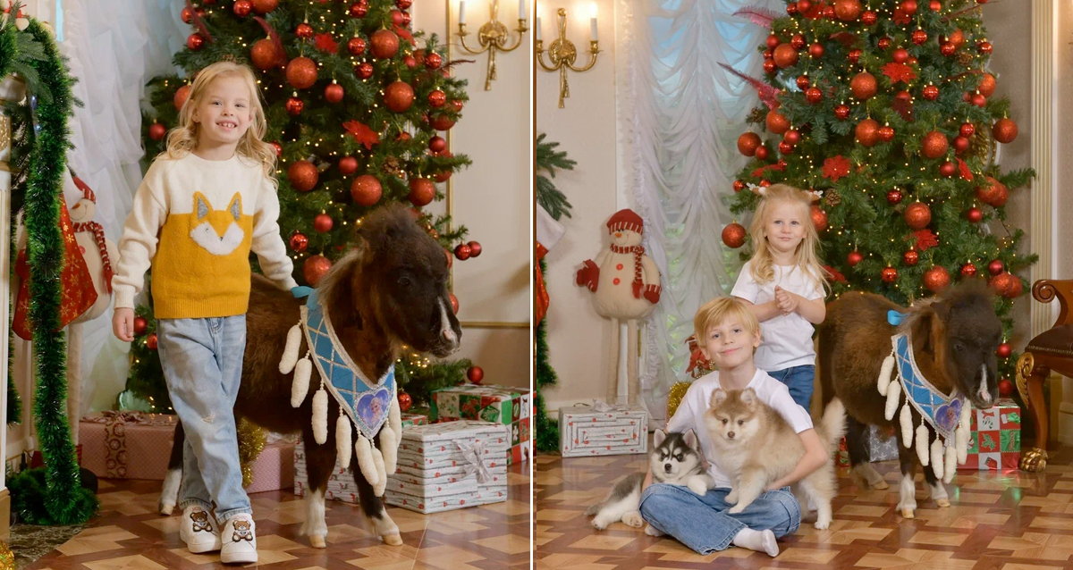 фотосессия с мини хаски