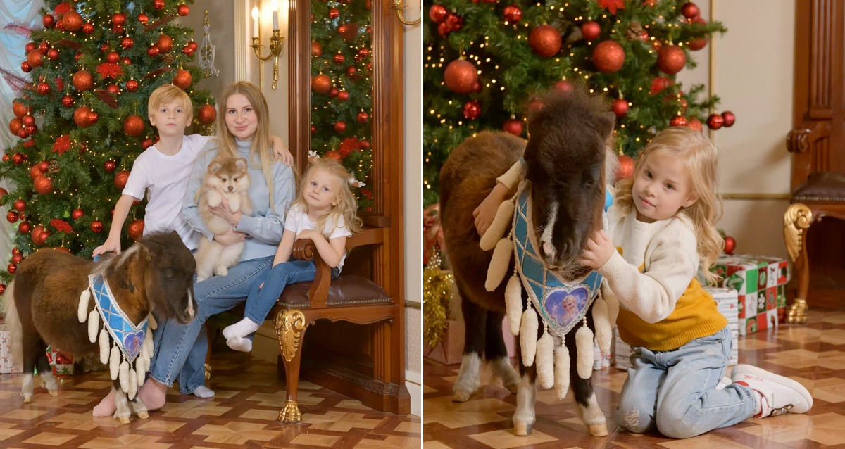 фотосессия с мини хаски