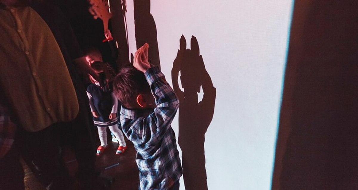 театр теней Moonlight