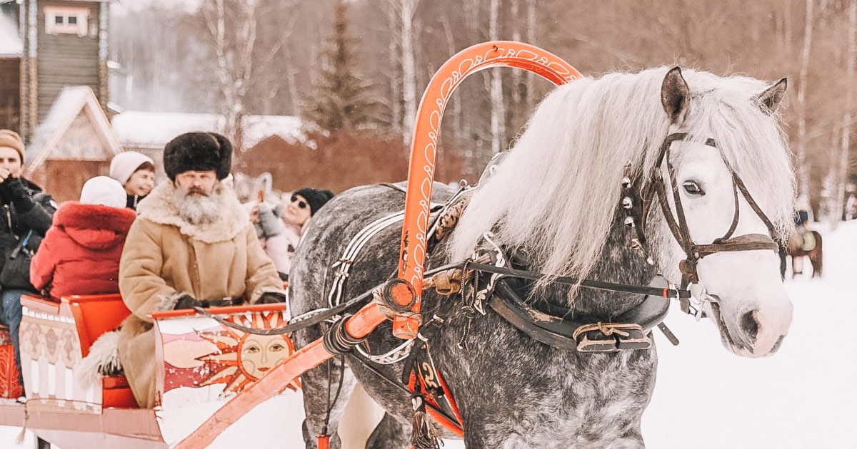 туры в Ладогу и Петрозаводск