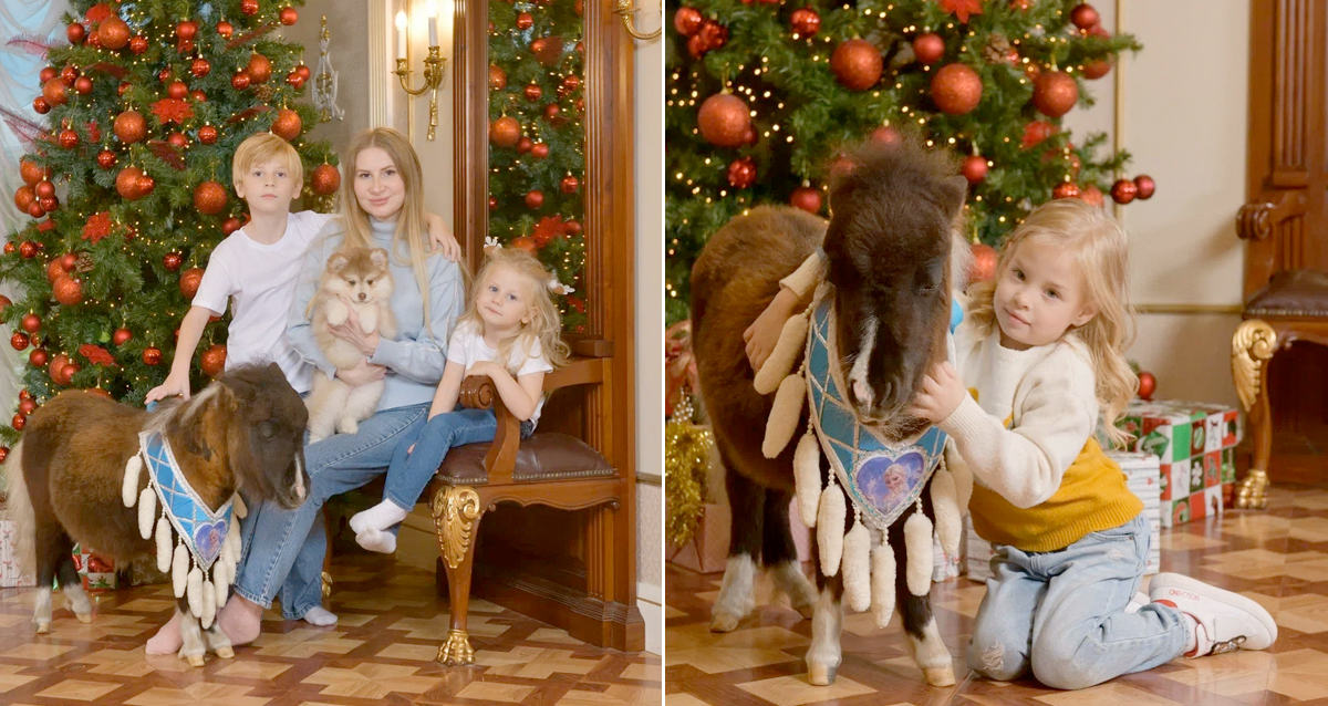 новогодние фотосессии в Петербурге