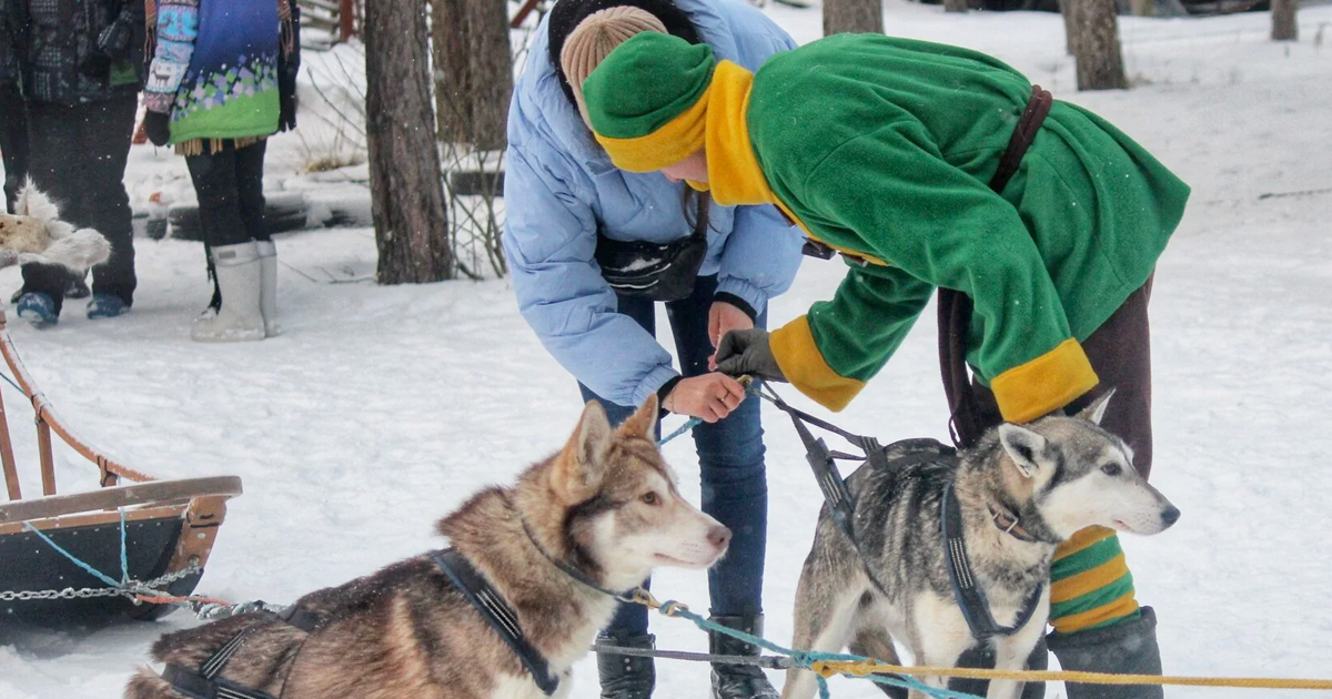 туры в Ладогу и Петрозаводск