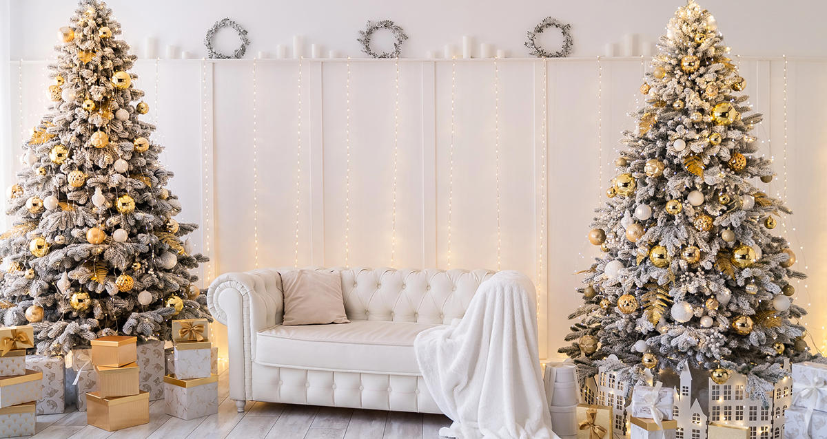 новогодние фотосессии в Петербурге