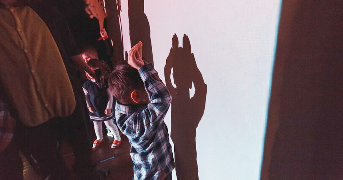 Театр теней Moonlight 