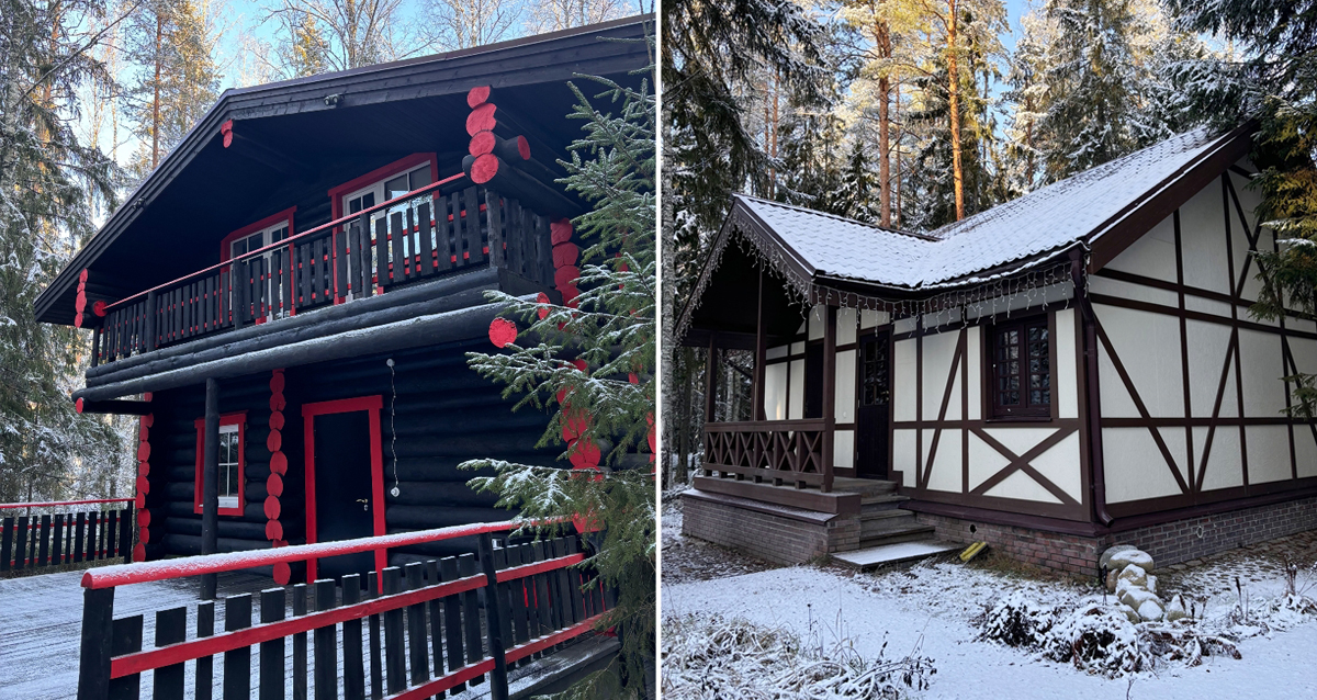 Шишки на Лампушке