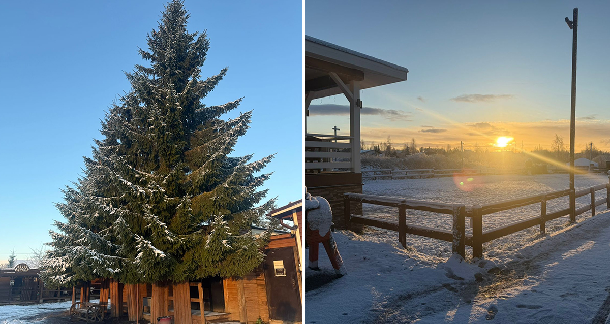 ранчо Авенсис