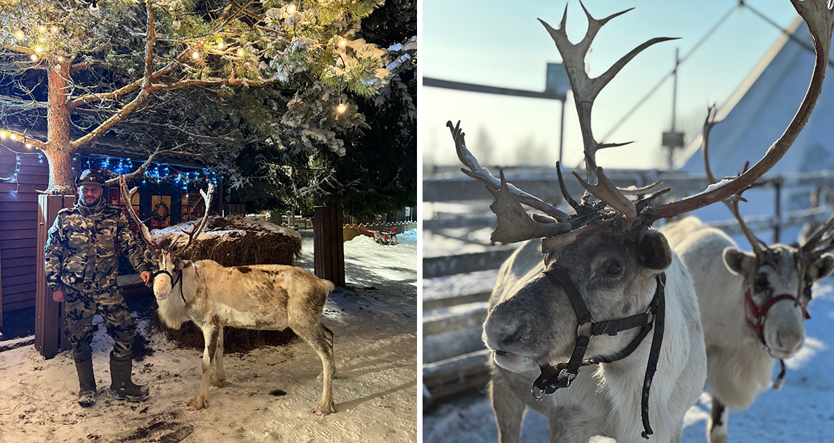 ранчо Авенсис