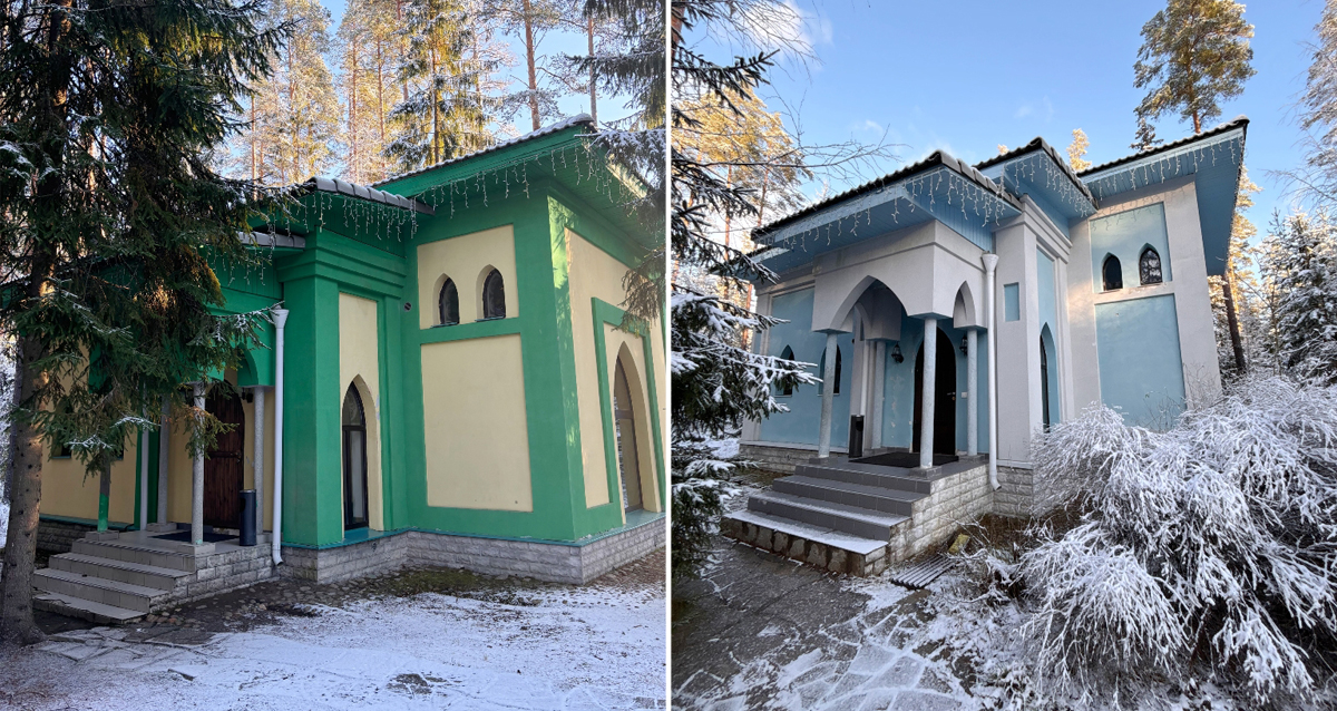 Шишки на Лампушке