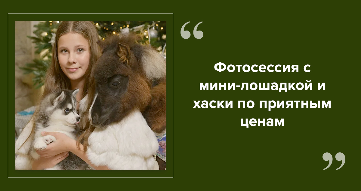 новогодние фотосессии в Петербурге