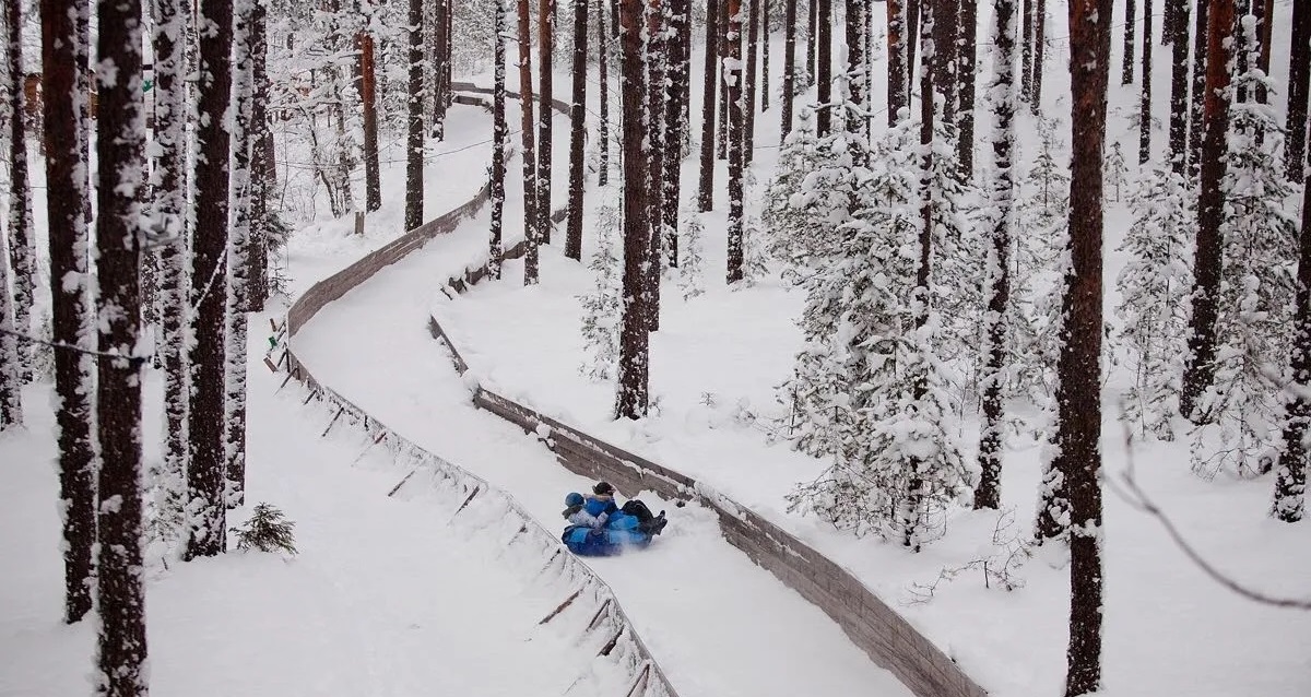 Шишки на Лампушке