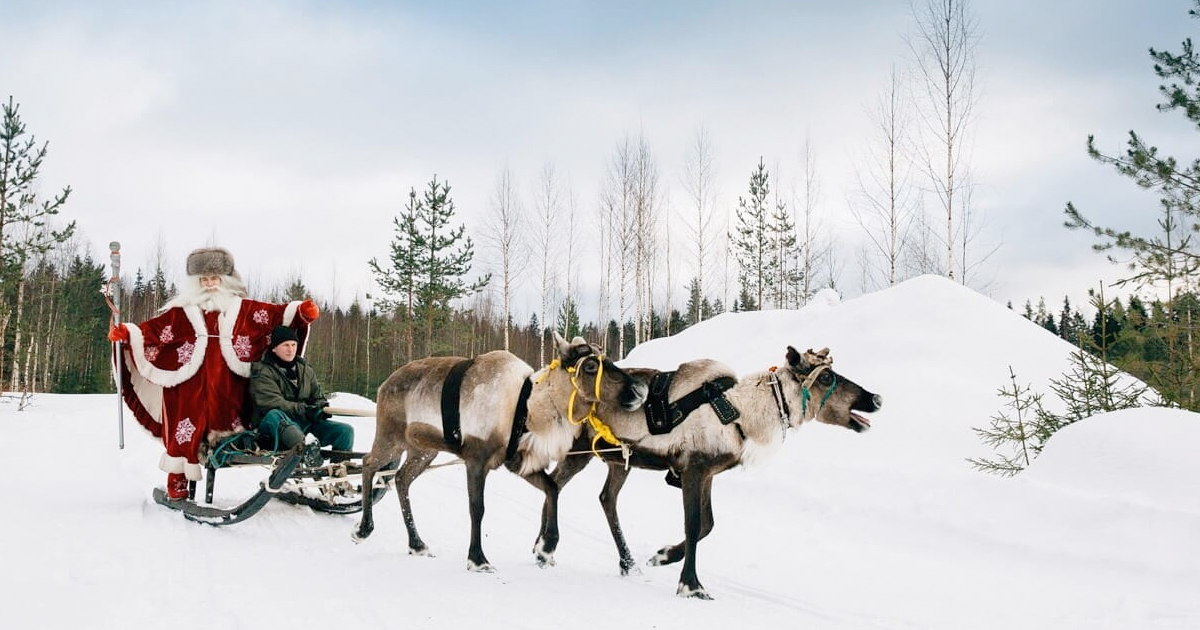 туры в Ладогу и Петрозаводск