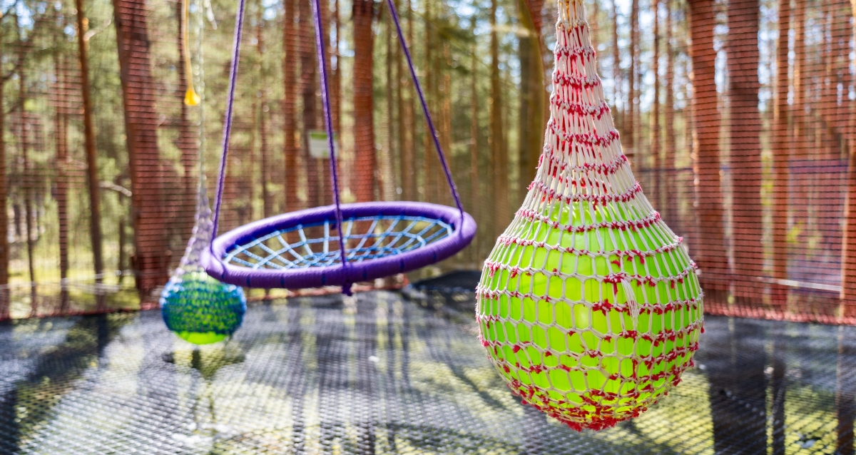 Шишки на Лампушке