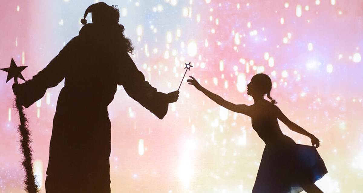 театр теней Moonlight