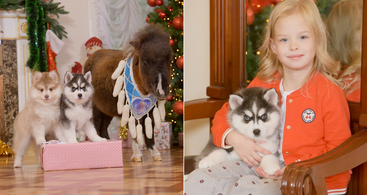 новогодние фотосессии в Петербурге