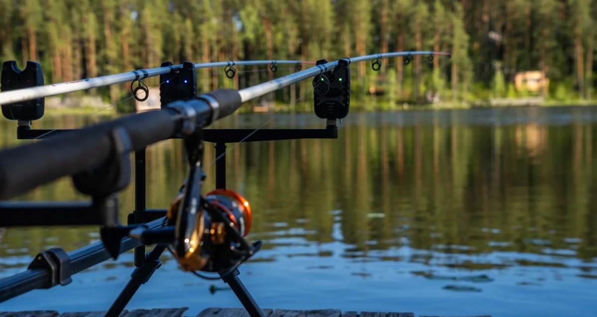 Шишки на Лампушке