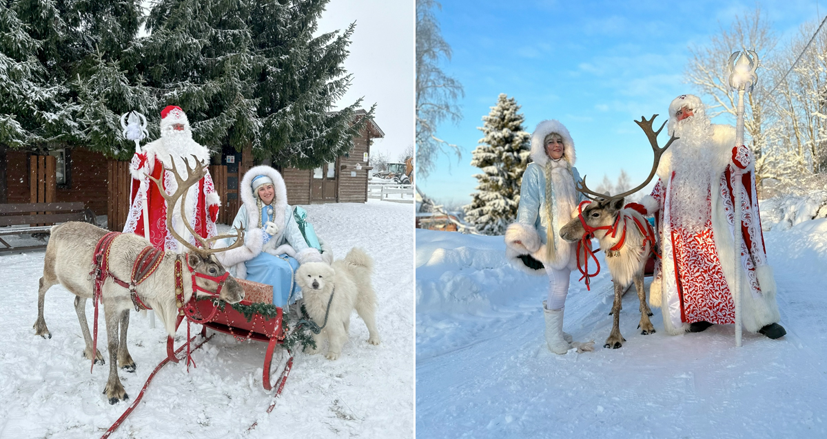 ранчо Авенсис