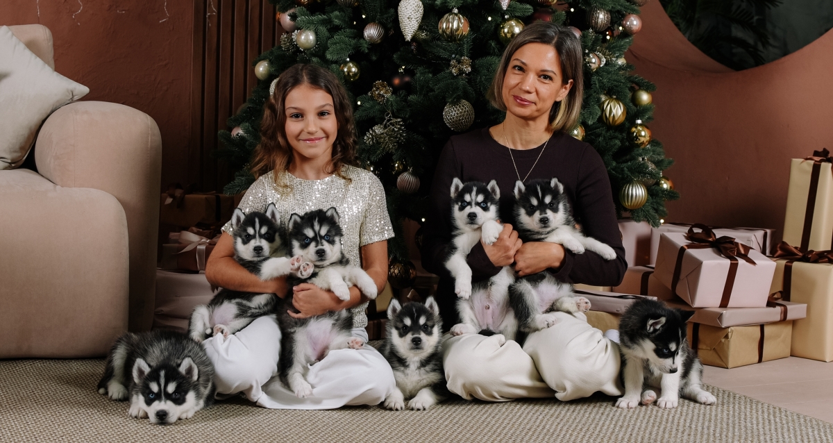 фотосессия с хаски