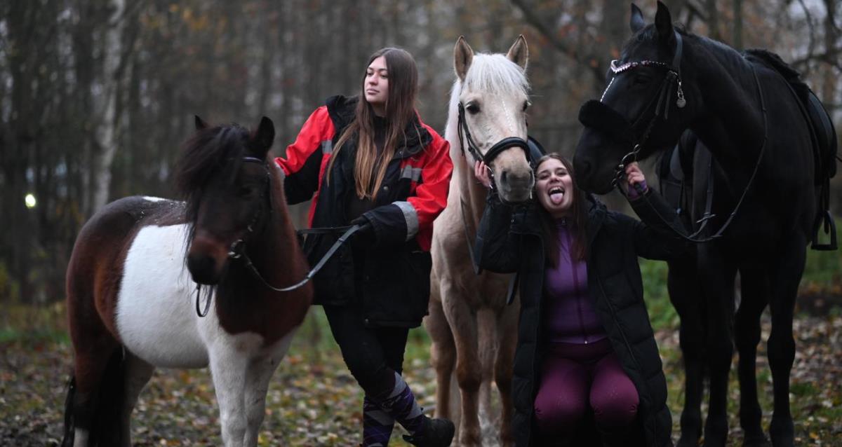 прогулки на лошадях