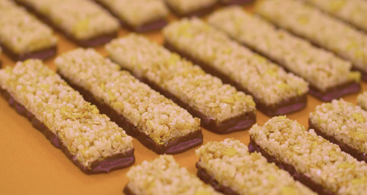 экскурсия на шоколадную фабрику SOJ