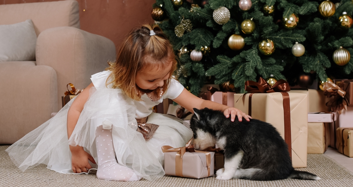 фотосессия с хаски