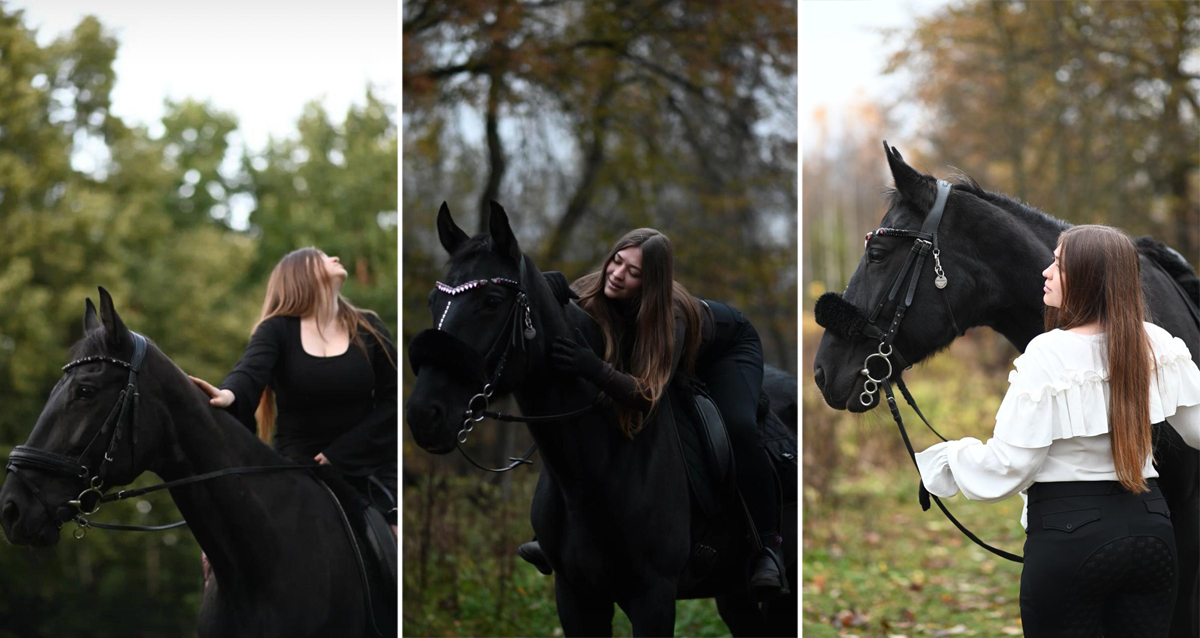 прогулки на лошадях