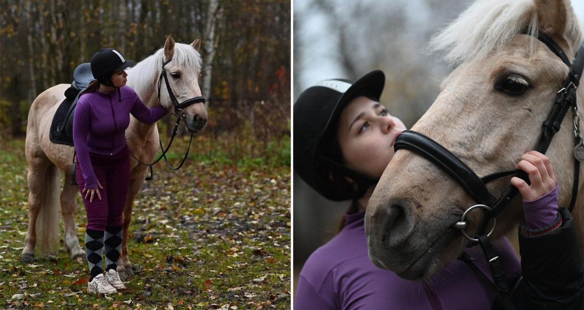прогулки на лошадях