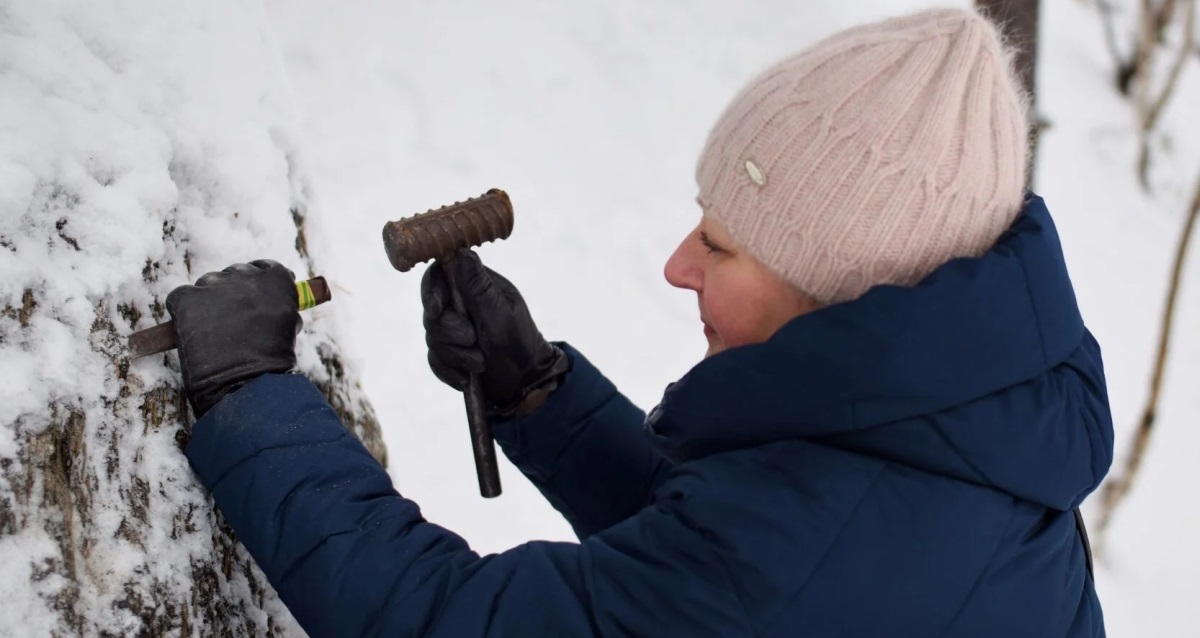 тур в Карелию