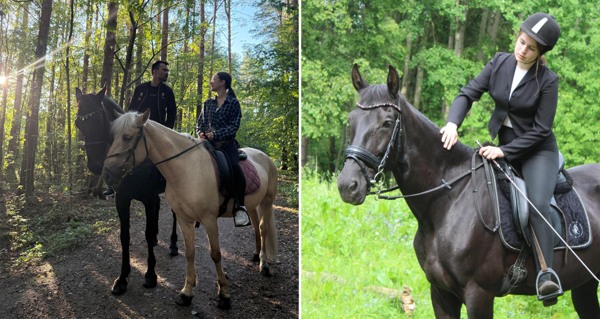 прогулки на лошадях