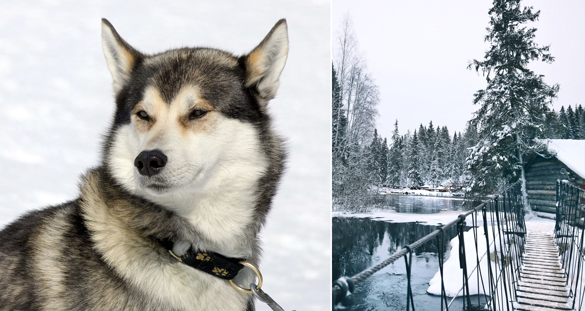 тур Новогодний Гранд Вояж: от Вотчины Деда Мороза до Рускеала в огнях