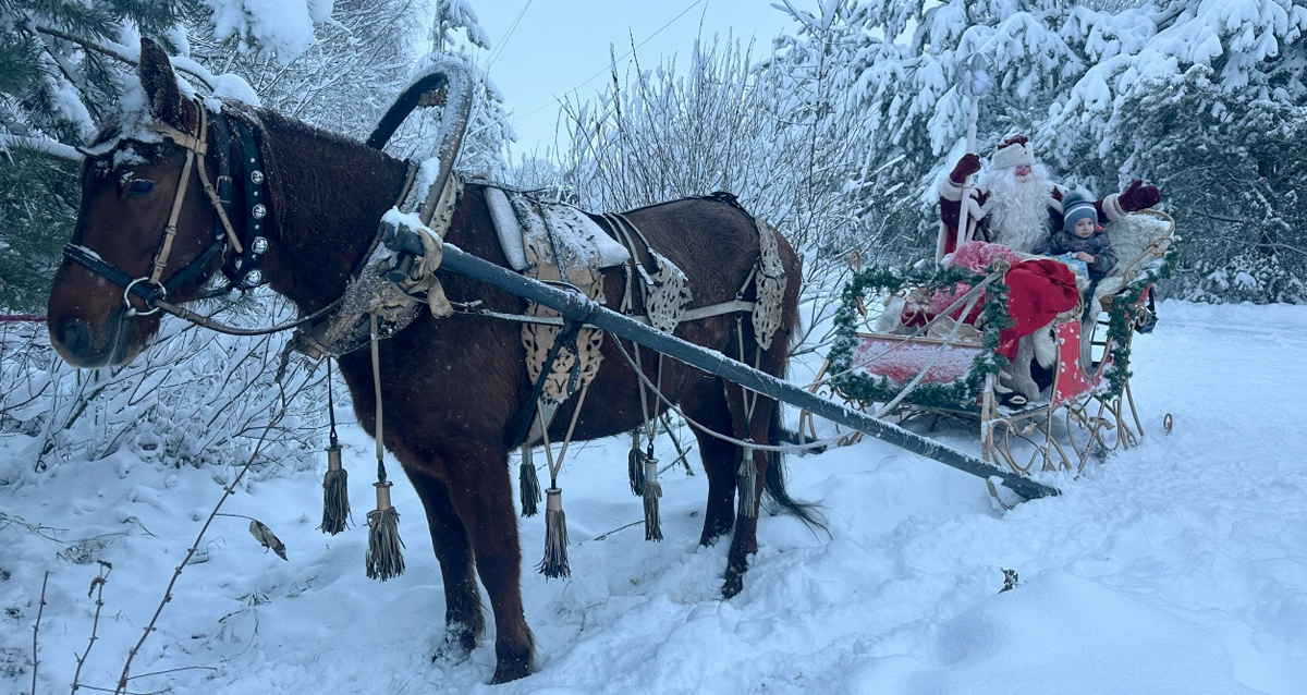 ранчо Авенсис